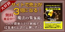 無料特別レポート