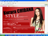 ブログ・SNS開発実績2